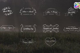 Wedding Titles | FCPX 26464654
