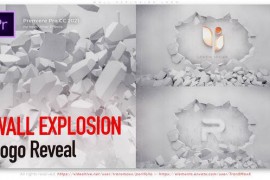 Wall Explosion Logo 51645606