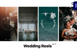 Wedding Reels for Premiere Pro Vol. 11 49377003