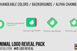 Minimal Logo Reveal Pack 15403253