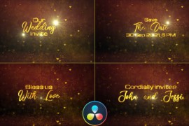 Wedding Invitation Titles - DaVinci Resolve 32892494