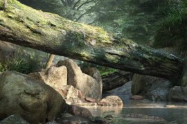[3D Materials] Evermotion - Archmodels vol. 191 [Cinema 4D | V-Ray | OBJ]
