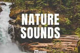 99Sounds Nature Sounds WAV [FREE]