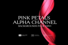 Pink Petals Alpha Channel Backgrounds Pack 10in1 51632380