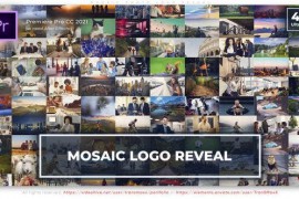 Mosaic Photo Logo Reveal 49838787