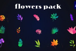 Colorful Flowers Pack for After Effects 51999712