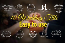 Wedding Titles 21467159