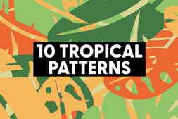 Free Download:Tropical Patterns 61988801