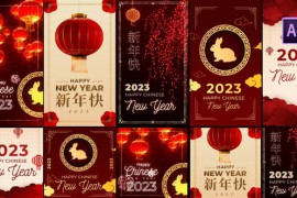 Chinese New Year Posts and Stories 42803042