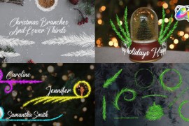 Christmas Branches And Lower Thirds for FCPX 42265429