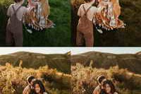 Aspen Dawn Presets – Dream pack