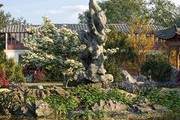 Maxtree Plant Models Vol.86