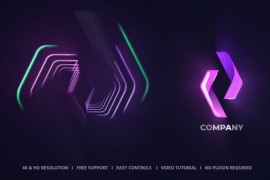 Logo Reveal 51157990