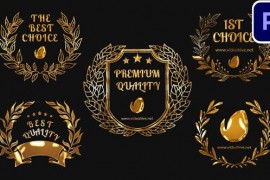 5 Golden Awards MOGRTs For Premiere Pro 52765362