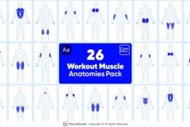 Workout Muscle Anatomies Pack For After Effects 48592889