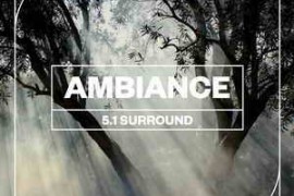 Blastwave FX Ambiance 5.1 Surround WAV