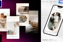 Wedding Instagram Stories For Premiere Pro 44222238