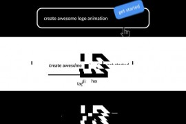 Logo Animation 49488825