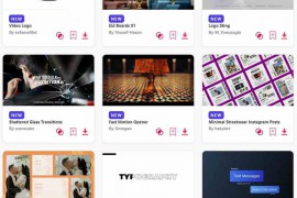 2024.4.26.44.Set.AE.Templates