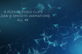 Plexus Web 9 Pack 23125662