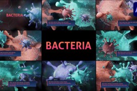 Bacteria for After Effects 44312858