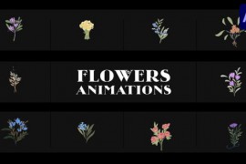 Flowers Falling Into Petals Animations for After Effects 52155580