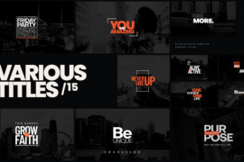 Various Titles 15 43314868