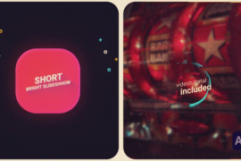 Short Bright Intro 15767153