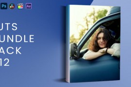 LUTs Bundle Pack V12 42996898
