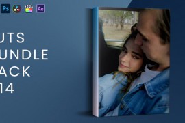LUTs Bundle Pack V14 43137480