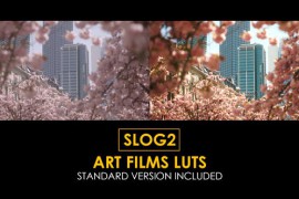 Slog2 Art Films and Standard Color LUTs 48915046