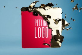 Peeling Logo 52375281