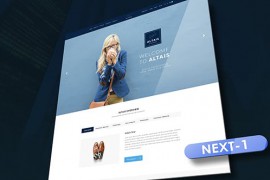 Website Promo 21324314