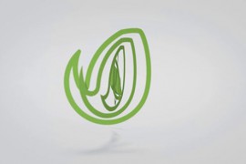 Clean Short Logo Ident 1 11668707