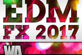 WA Production What About EDM FX 2017 WAV-DISCOVER