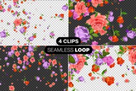 Flowers Falling Pack Alpha 46644779