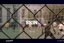 Skin LUT Collection Vol. 03 for DaVinci Resolve 48141178