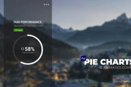 Infographics Pie Charts 50384981