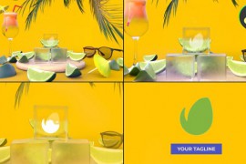 Logo Summer for DaVinci Resolve 47422266