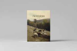 Julian Papis – Nostalgia LUT Pack