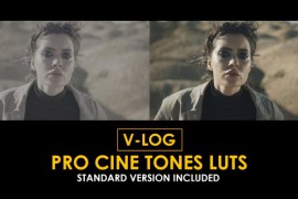 V-Log Pro Cine Tones and Standard Color LUTs 51378612