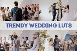Trendy Wedding LUTs | DaVinci Resolve 49834847