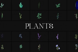 Plants for Premiere Pro 51581151