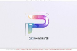 Quick Logo Animation 52068731