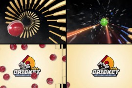 Cricket Logo Reveal 48450688