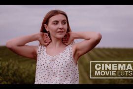 Cinema Movie Luts 44859674