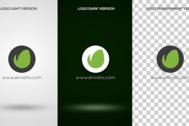 Spiral Motion Logo Reveal - B Premiere Pro 52545934