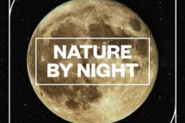 Blastwave FX Nature by NIght WAV-FANTASTiC
