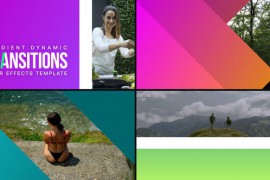 Gradient Dynamic Transitions 47936737