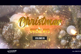 Christmas Overlays Vol. 06 for Premiere Pro 49585409